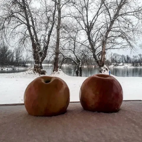 Prekrasno Jutro