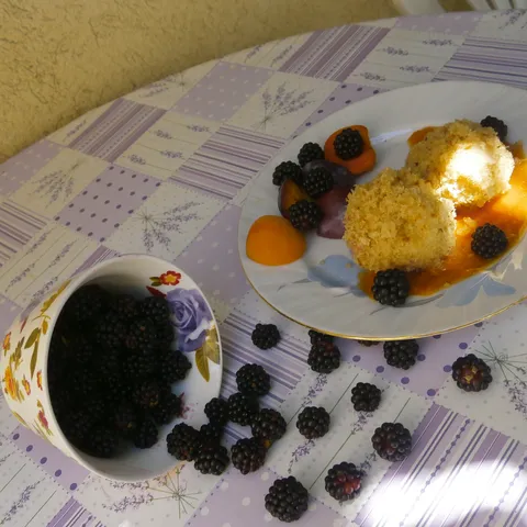 Okruglice od šljiva i marelica s voćnim umakom