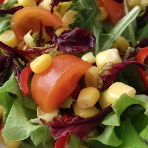 Salata