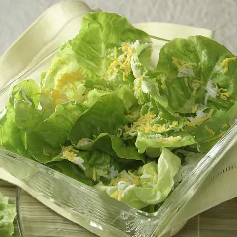 Mimoza salata