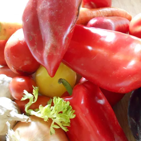 Sataraš & Salsa & Ajvar & Pinđur & Umak & Dip ....