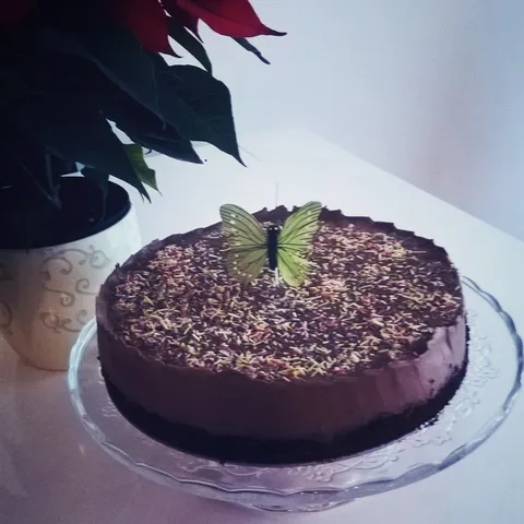 Cokoladna tortica