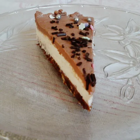 BRZA TORTICA