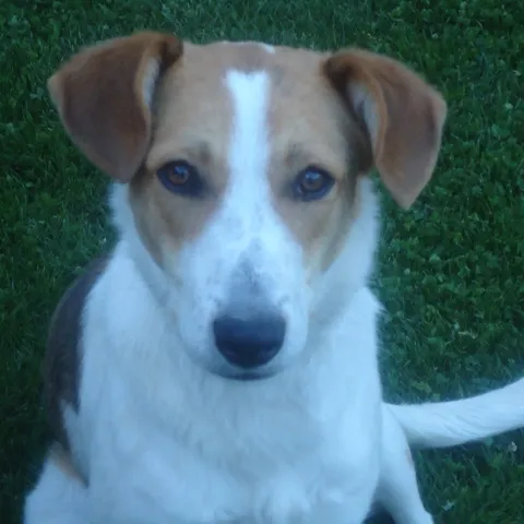 Naša Lucy - pozira