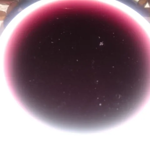 Kuhano kupinovo vino
