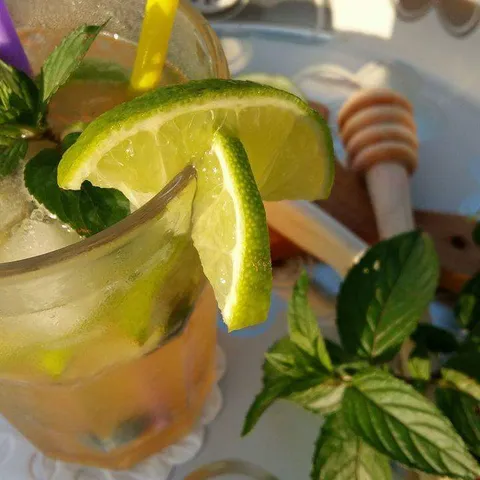 Borovničin mojito
