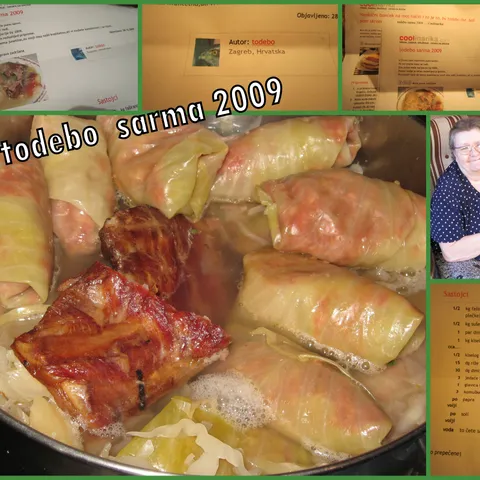 todebo sarma 2009