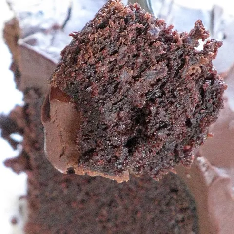 Moj cokoladni  “mud cake”
