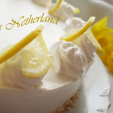 Tortica za Netherland