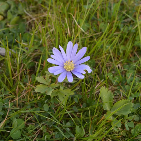 VT 25 sl. 1