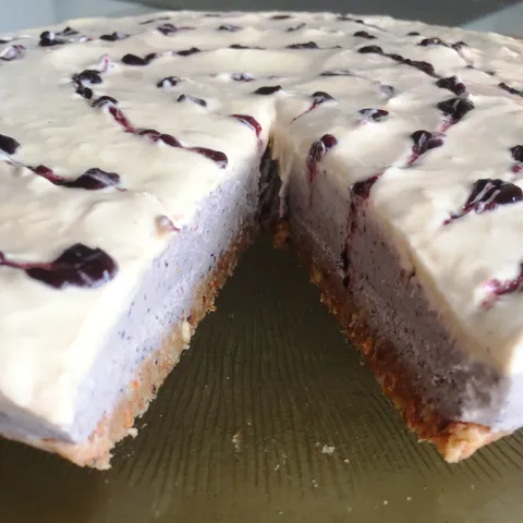 Sirova kokos torta s borovnicama