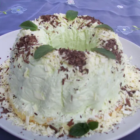 Sladoledna torta sa mentom i cokoladom