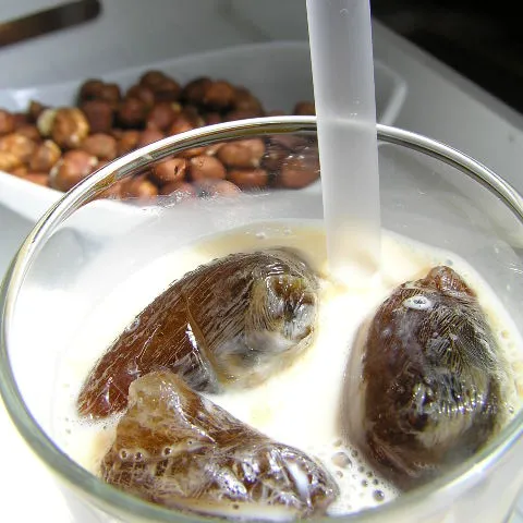 Ledena kava-Ice coffee