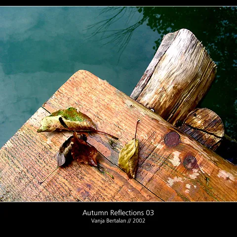 Autumn.Reflections.03
