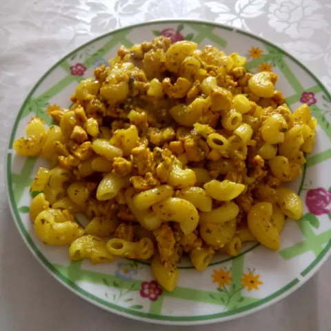 Makaroni sa piletinom
