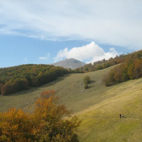 za srce malo šetnje po planini