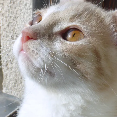 Bubi !
