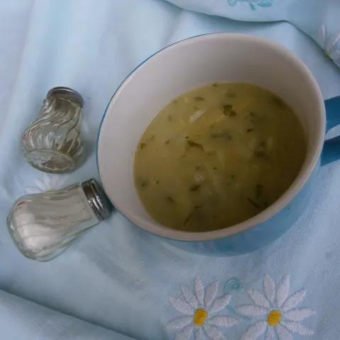 Korabica na varivo