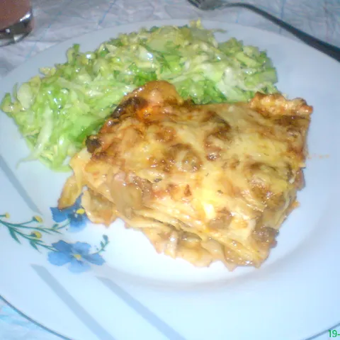 Lasagne sa mesom i gljivama