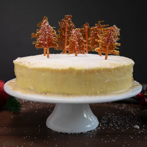 Blagdanska zimska torta