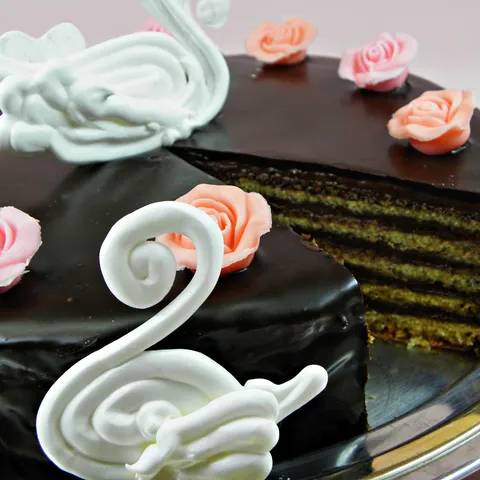 Ludwig torta