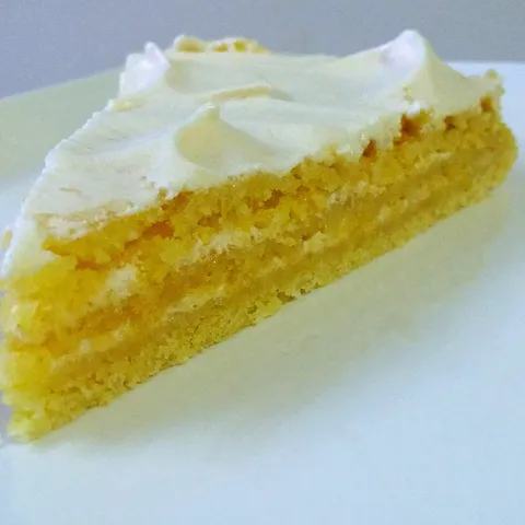 TORTA ŠVOJATA
