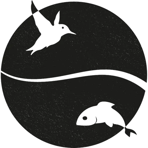birdyfish