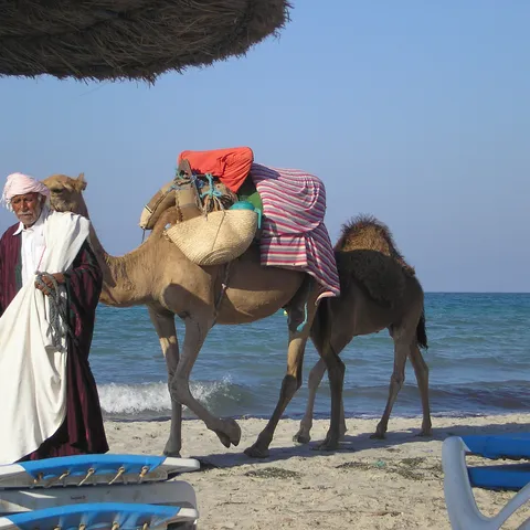 Djerba
