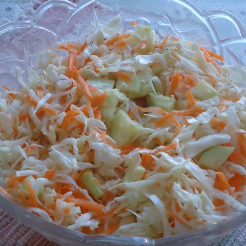 Salata od kupusa