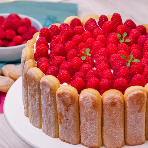 Panna cotta šarlota s malinama