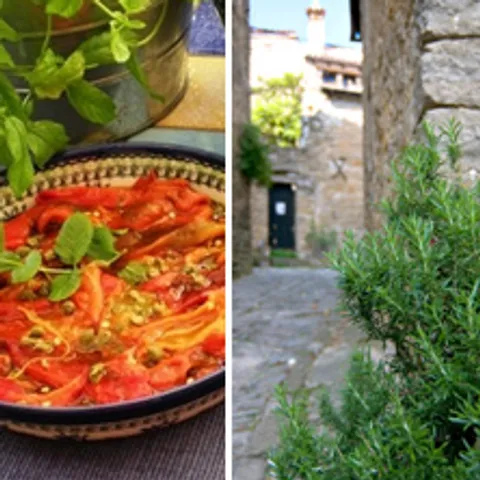 Mediteransko bilje – bogatstvo koje ne koristimo