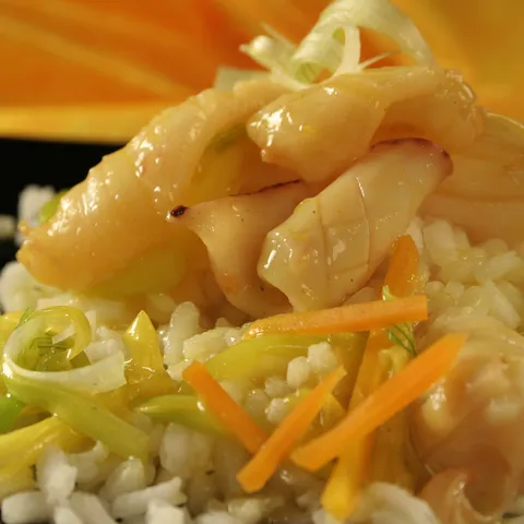 Curry lignje