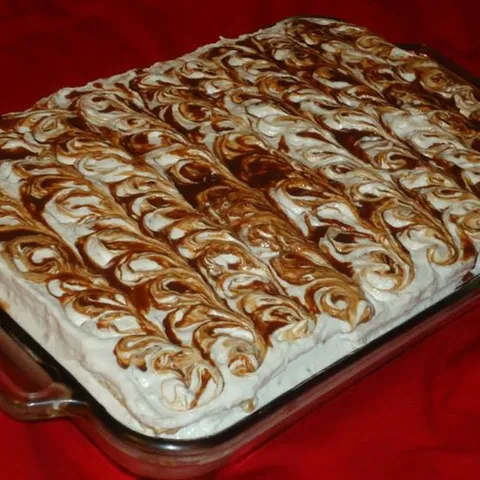 Brza tortica