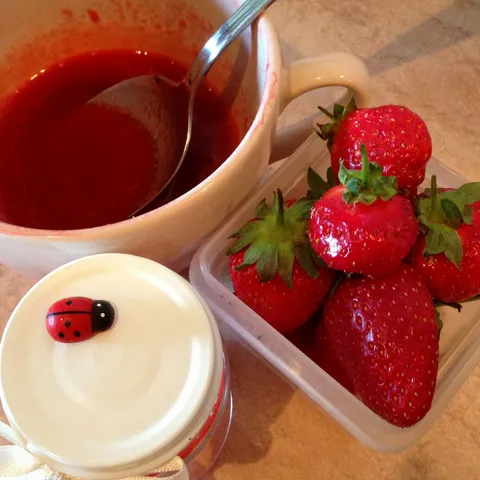 Spicy coulis od jagode