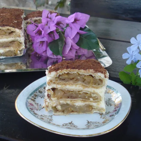 Bavarsko-brčanska torta od jabuka