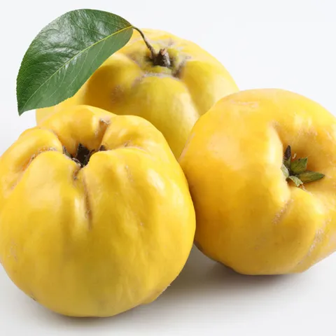 marmelo