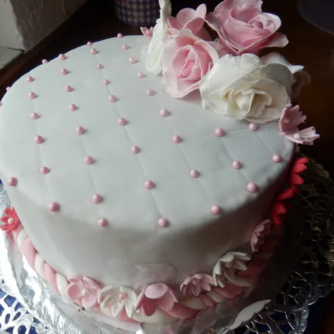 torta"cokoladni san"