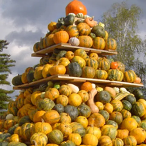 Bundevijada 2007.