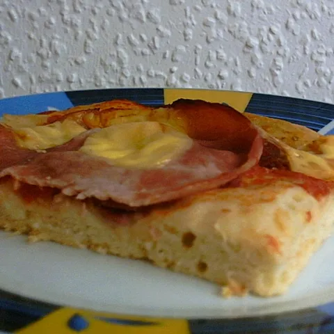 Brzinska pizza