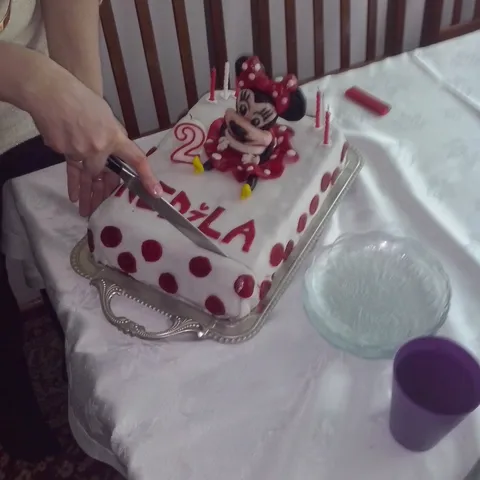 Moja fantazija