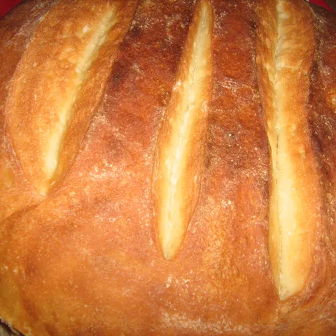 moja pogaca