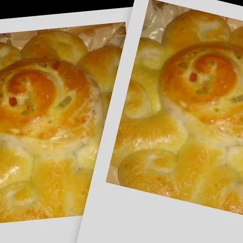 Kruh “Sunce”