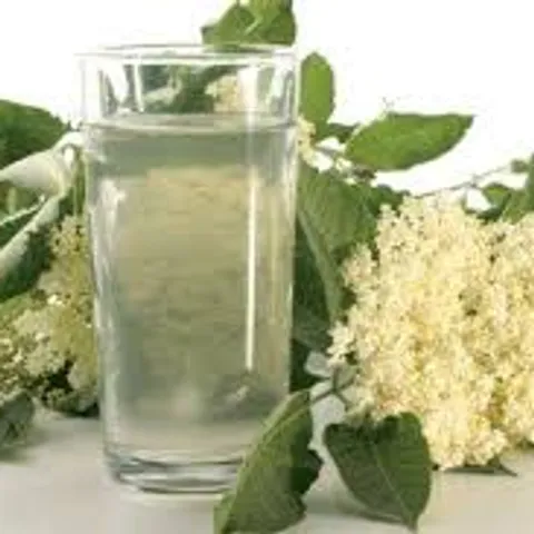 Sirup od bazge