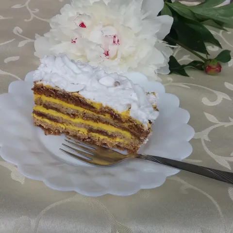 The TORTA