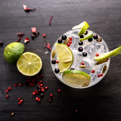Ginstronomija: Umjetnost sparivanja hrane i gin tonica