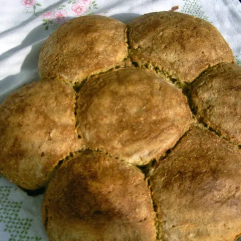 Integralna pogaca