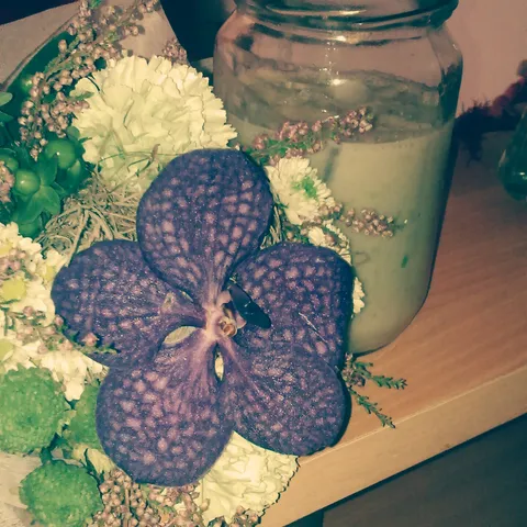 Zdravi napitak :)