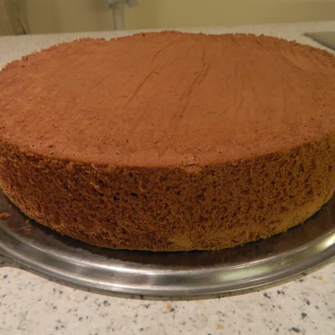 Biskvit za torte - odličan!