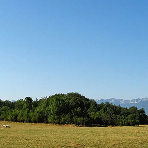 Pozdrav Liko