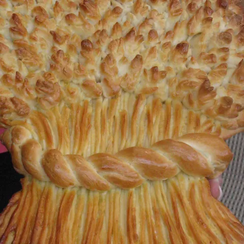 Snop žita